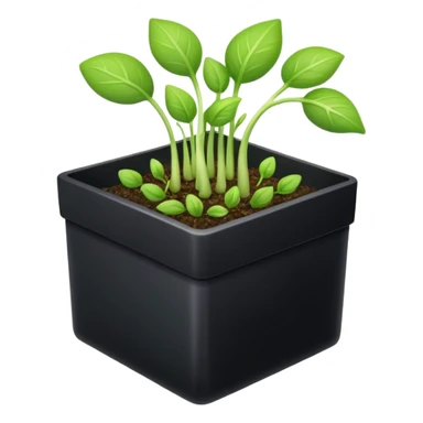 aromatic sprouts black box sticker