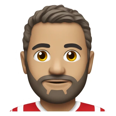 Bristol city sticker