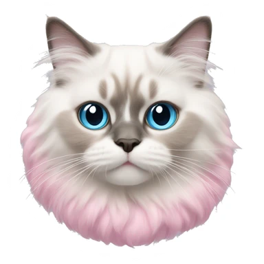 cotton candy ragdoll cat sticker