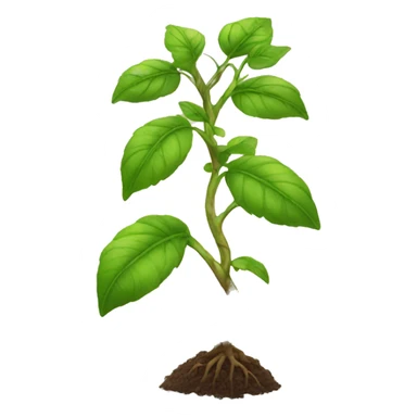 plant growing from a branch sticker