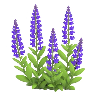 3D iOS cartoon style illustration of Salvia nemorosa with bright purple flowers, rich green leaves, expressive shadows and light accents, cartoon style, volumetric, transparent background sticker