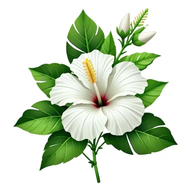 bouquet white Hawaiian hibiscus, luxuriant, stem, leaf, bud sticker