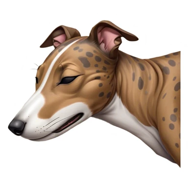 Meme-Worthy Cute Sleeping Brindle Greyhound Portrait Emoji, Head resting peacefully with a contented smile, showcasing a slender build and a luxuriously smooth brindle Fur, eyes shut in a serene nap, Simplified yet hilariously adorable features, highly detailed, glowing with a soft, drowsy light, high shine, relaxed and utterly lovable, stylized with an air of playful laziness, bright and heartwarming, soft glowing outline, capturing the essence of a comically sleepy racer, so meme-worthy it feels like it could instantly become the next viral sensation of adorable slumber! sticker