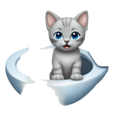 blue eyes grey kitten and toilet  sticker