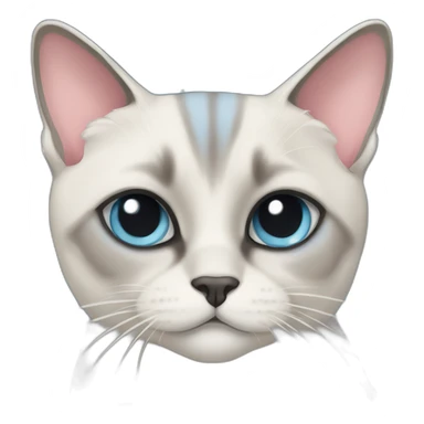 Blue Tabby Point siamese cat christmas sticker