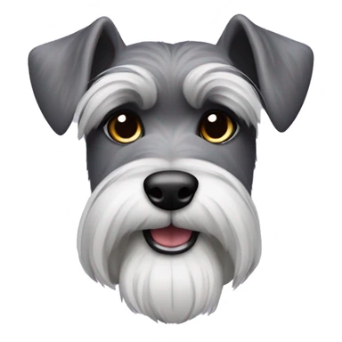 Schnauzer with one ear up one ear down with purple Mohawk  sticker