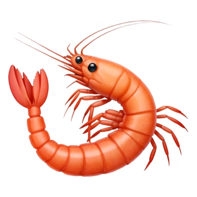 Shrimp roughly drawn with pencil sticker