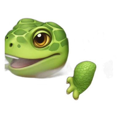 🥷 🐢 😂 sticker