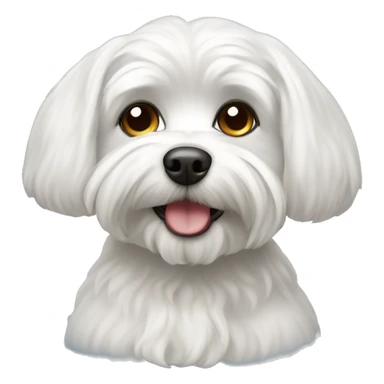 Maltese Lapdog sticker