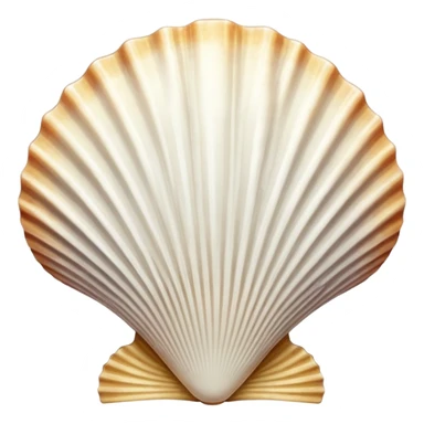 Scallop shell sticker