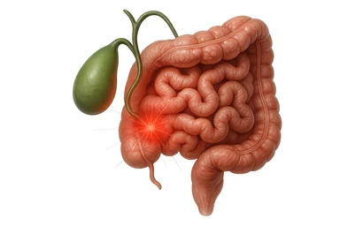 CISTIFELLEA E INTESTINO SONO COLLEGATI NEL DOLORE, iperrealistico 4k sticker