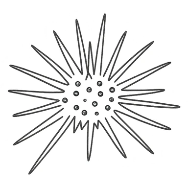 Sea urchin illustration in a clean, hand-drawn style with red lines, minimal design, no text, transparent background, with a slightly different arrangement of spines, matching the style of the reference logo. sticker