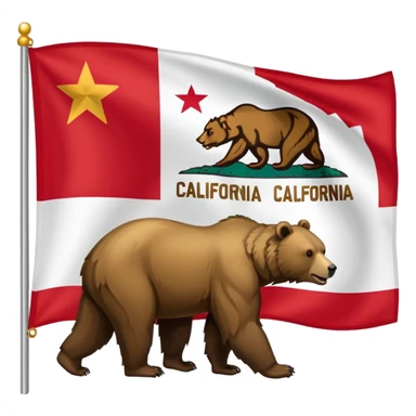 California flag sticker