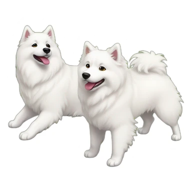Samoyed and aussie playing sticker