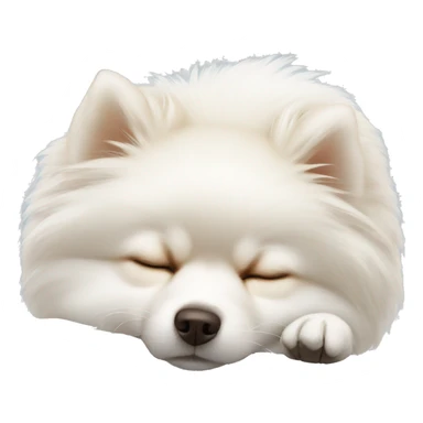 Sleeping white pomeranian sticker