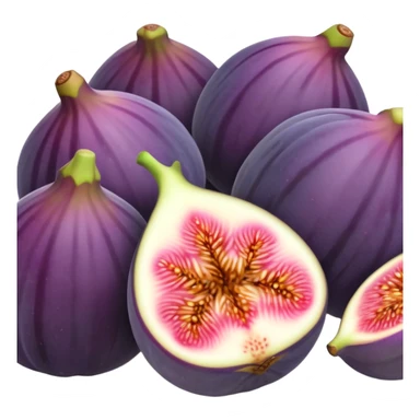 figs  sticker