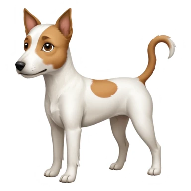 a full body white parson russell looking dog the size of a kelpie with light brown ears and a light brown patch on one eye and a large snout sticker
