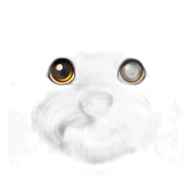 Toy-poodle-deep-brown sticker