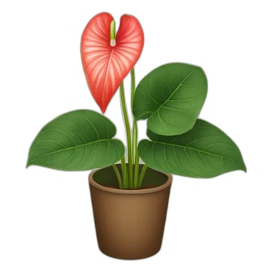 anthurium warocqueanum sticker
