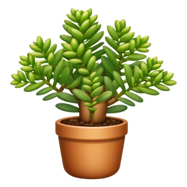 Crassula Ovata Golum with cilindric leaves sticker