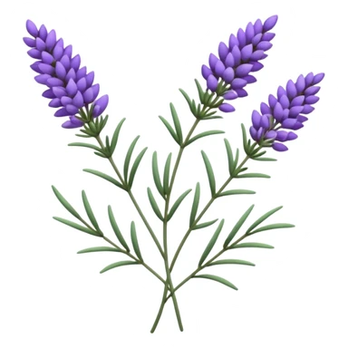 Lavender  sticker