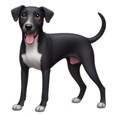 Black dog labrador whippet cross happy face  sticker