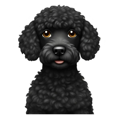 Black Pudel  sticker