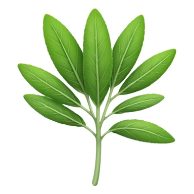 sage herb sticker