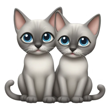 Two grey cats siamese  sticker