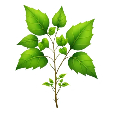 pointy poison ivy plant sticker