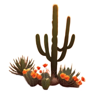 Cinematic Realistic Desert Emoji, Expansive and arid, with vast stretches of golden sand dunes and scattered cacti, the sun casting a warm, almost orange glow over the dry, cracked earth. The horizon blurs into a heat shimmer, while the occasional desert flower adds a splash of color to the barren landscape. Soft glowing outline, capturing the essence of the harsh yet stunning beauty of the desert, calm and quiet, filled with silence and mystery. sticker