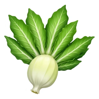 Endive Riccia sticker