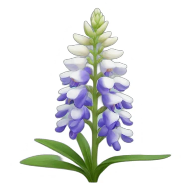 white lupine sticker