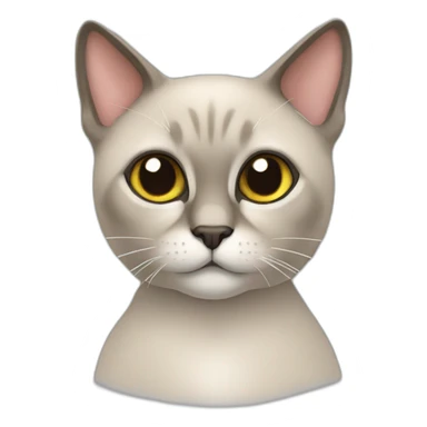Chat siamois sticker