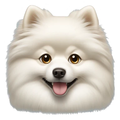 White Pomeranian spitz  sticker