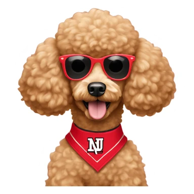 Apricot Poodle wearing a Cornhusker jersey and sunglasses  sticker