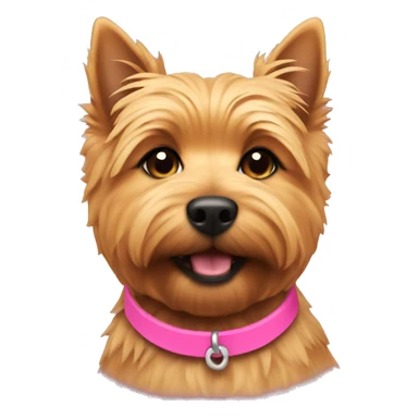 Norwich terrier with pink collar sticker