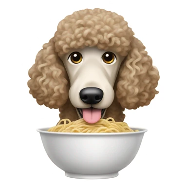 Standard poodle eating noodles  sticker
