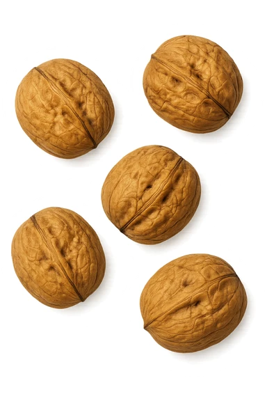 noci vista dall'alto, iperrealistiche 4k sticker