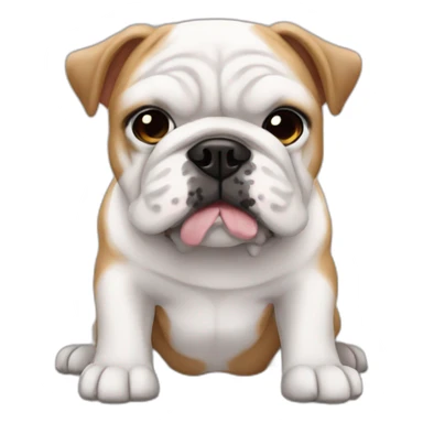 Bulldog ingles collar pinchos sticker