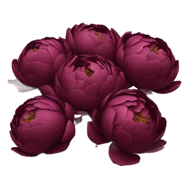 Burgundy peonies bouquet  sticker