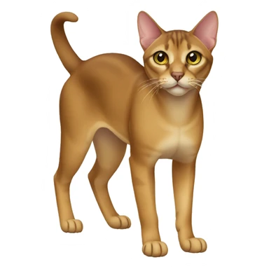Chausie Cat Full Body sticker