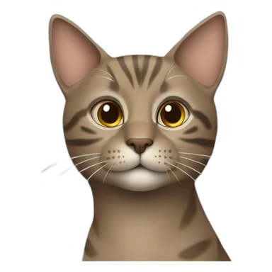 Brown wonderful cat. See a big grey horse sticker