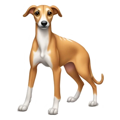 Fawn tiger greyhound sitting sticker