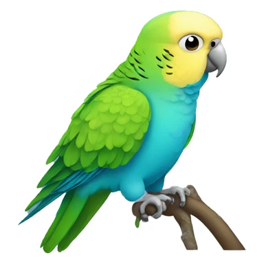 Parakeet  sticker
