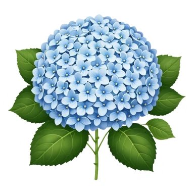 hydrangea white sticker