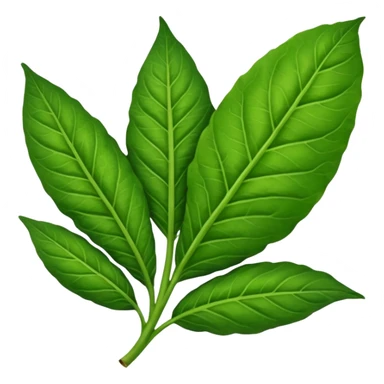 Tobacco leaf sticker