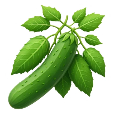 Cucumber plant, full plant sticker
