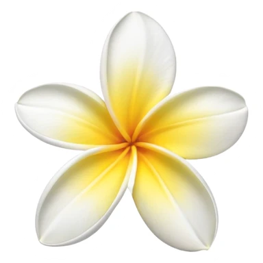 plumeria flower with five white petals and yellow center sticker