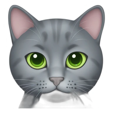 round faces grey russian blue cat with green eyes and fat sticker